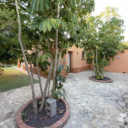 Casa con jardín privado para hasta 7 personas y piscina compartida Cádiz Exterior foto